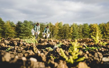 two people planting saplings