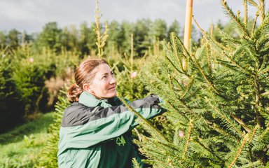 Woman selecting Christmas tree