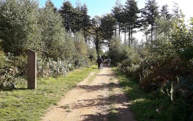 Cycling at Cann Wood 