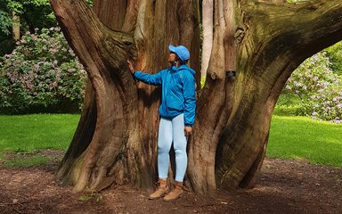 writer in the forest