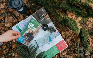 Forestry England Membership leaflets on forest floor