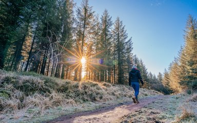 A woman walking through a frosty forest with sunlight peaking through the trees