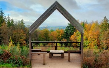 Autumn viewpoint at Haldon Forest Park