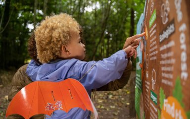 Child looking at Zog panel