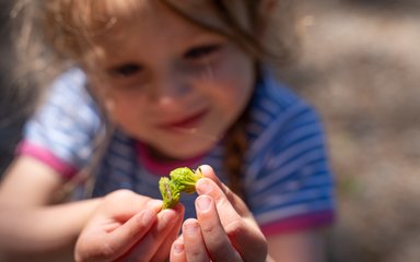 A young girl holding and looking at a plan from the forest floor