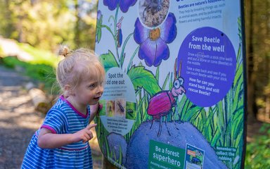Child looking at Superworm Trail in the forest