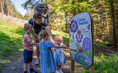 Family looking at Superworm trail in a forest