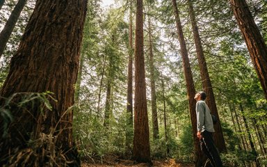 Man standing with Trees