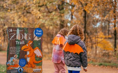 kIds in forest