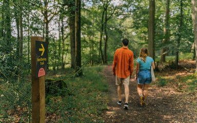 two people walking through the forest 