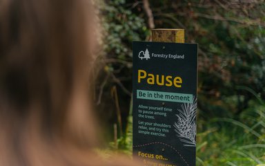 A sign in the forest that reads 'Pause, be in the moment'