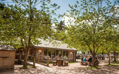 A timber building is visible through cheery trees in leaf. People are sitting at a picnic table.