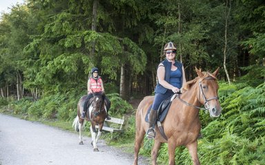 Person riding horse