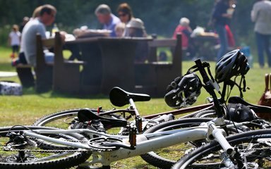 Picnic