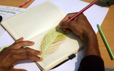A community group member creates a colourful drawing of a leaf