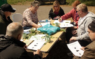 A group sits around a table outside drawing woodland items