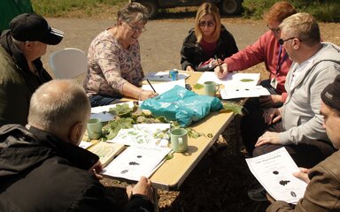 A group sits around a table outside drawing woodland items