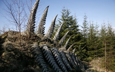 Forest sculpture on Grizedale Forest's tarn trail