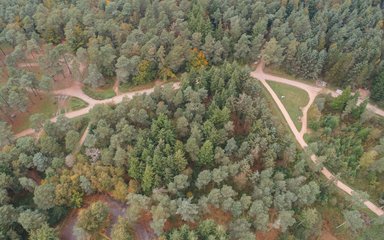 Aerial view of Bullers Hill at Haldon Forest Park