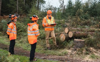 Three forestry staff inspecting a harvesting site