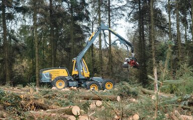 A yellow harvesting machine travelling through a conifer forest