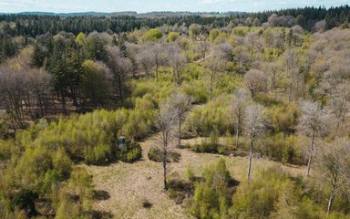 Aerial view of woods and glade