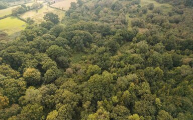 Aerial view of Neroche woodland habitat connecting with neighbouring farmland