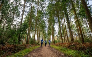 running in forest