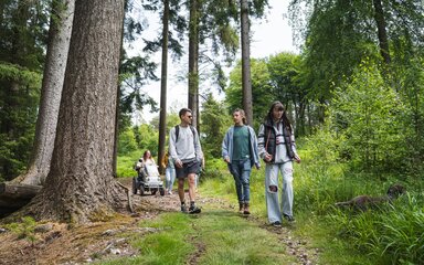 A group of friends walking a rustic forest trail, several of them are on foot and one is using an all-terrain mobility scooter