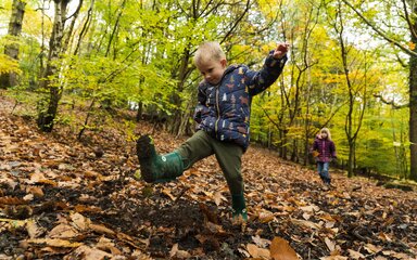 child with leaves