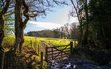 Image of new woodland creation site in Devon, showing gate in foreground leading to open, arable fields