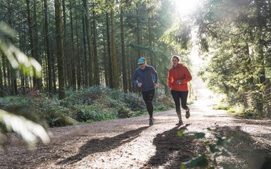Two people running along a wide forest trail, with sunlight streaming through tall trees and casting long shadows across the path.