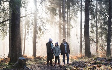 Members in a forest