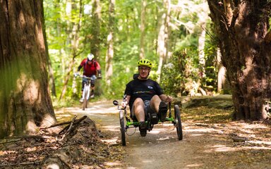 A recumbent trike rider on a forest cycle trail