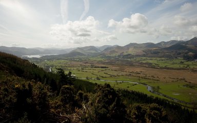 view from Dodd Wood 