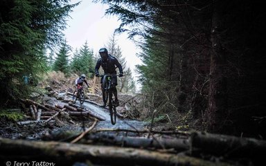 Mountain biker in Hamsterley Forest