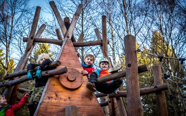 children on the play trail at Hamsterley Forest