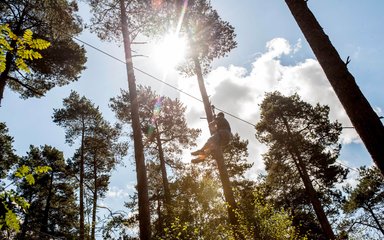 Person on a zip wire, high ropes course in the forest