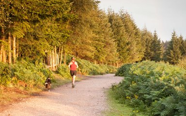 Running on a dog friendly trail