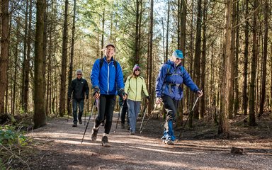 People enjoying Nordic Walking in the forest