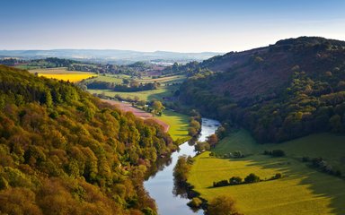 Forest of Dean River Landscape 