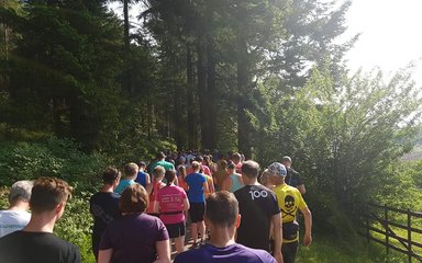 Whinlatter park run start