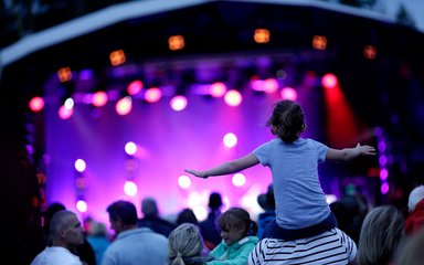 Audience enjoying live music festival in the forest