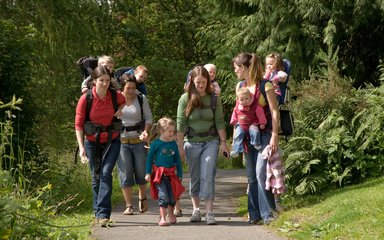 Families enjoying a walk in the forest