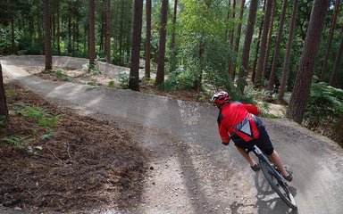 mountain biker on downhill trail