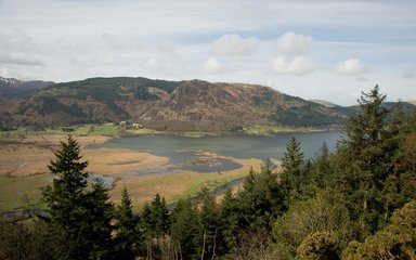 Dodd Wood view towards Whinlatter forest