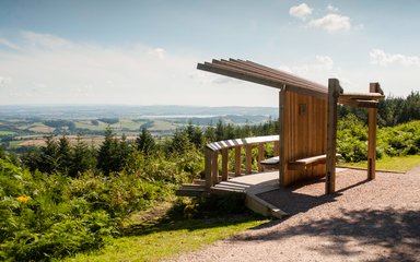 Viewpoint over the forest 