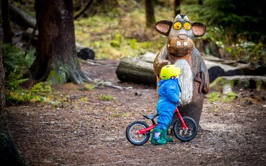 Child on bike looking at Gruffalo's Child Hamsterley Forest