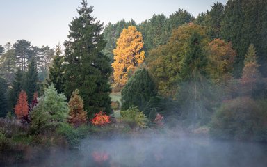 Early morning mist rising up above the lake in autumn 