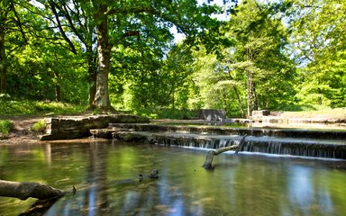 Woodland stream with sunshine